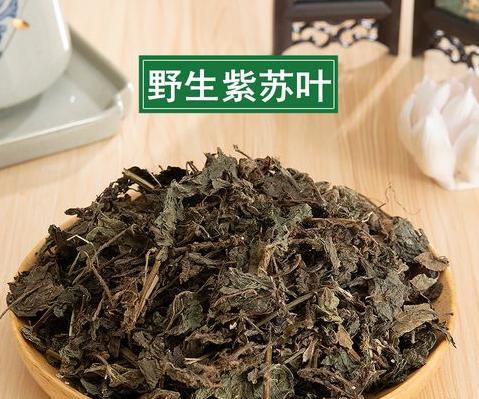 紫苏茶叶的功效与作用及禁忌 (图2)